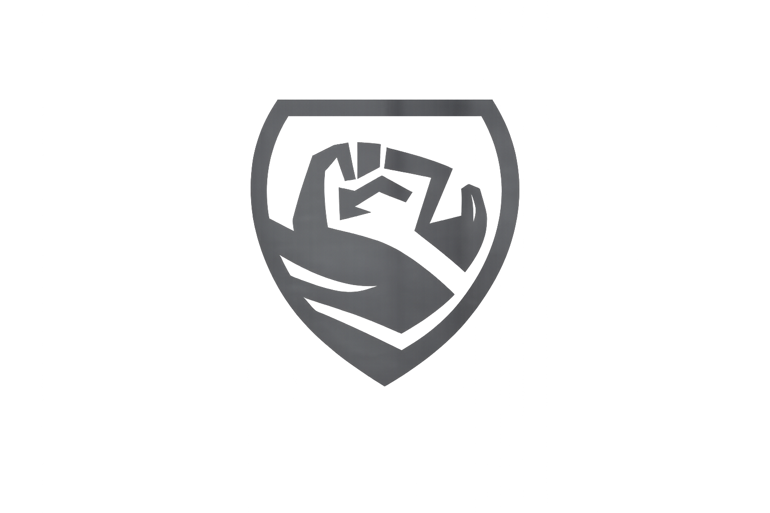 Strength Reclaimed Shield